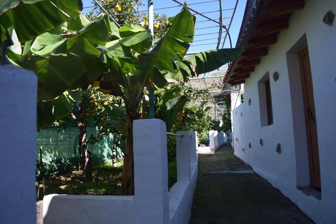 Casa Camino Tamadaba Apartment อากาเอเต ภายนอก รูปภาพ